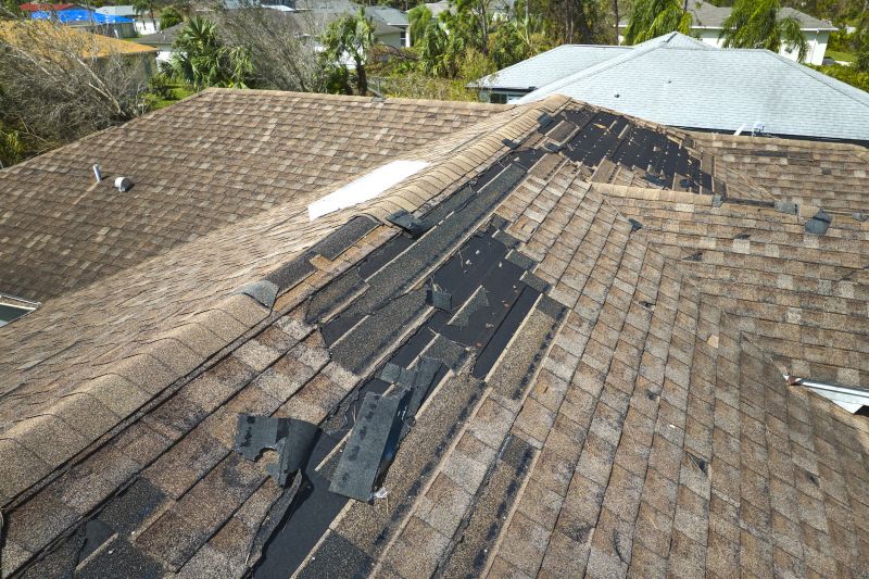 Roof Inspection and Maintenance